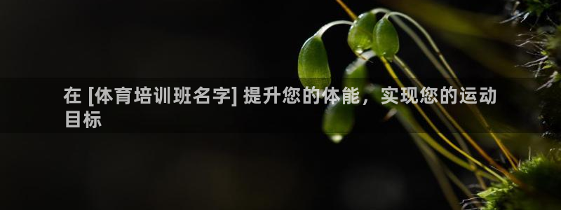 耀世开业是什么意思：在 [体育培训班名字] 提升您的